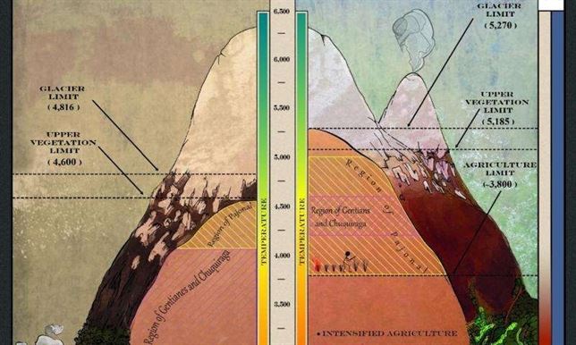 Prueban el cambio climático en los Andes con un dibujo de Humboldt de 1802