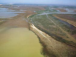 Invierten 16 millones de euros en 2008 para la conservación y gestión de los humedales