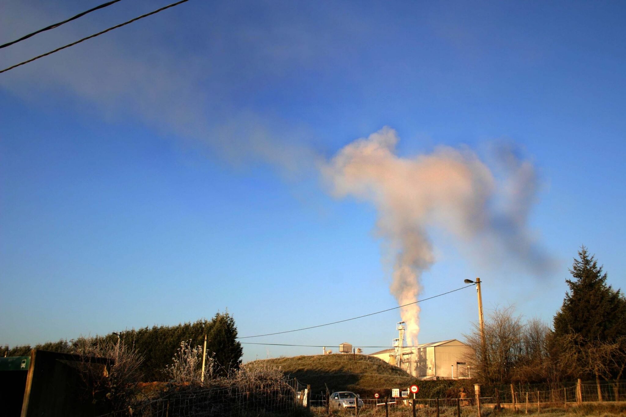 Día Mundial de Medio Ambiente en Asturias