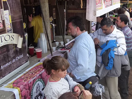 En el Parque Municipal de Castro se desarrolla la Feria de Biodiversidad