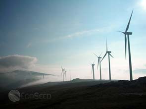 Iberdrola to buy back renewable energy subsidiary Renovables