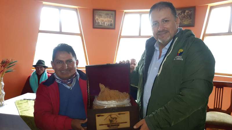 El aprovechamiento sustentable de la fibra de vicuña