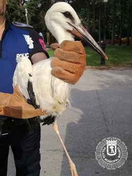 Tejerina garantiza a los 28 que España actuará "con el convencimiento de que París no tiene marcha atrás"