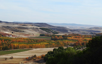 Luz verde a una cuarta cantera en un espacio natural protegido de Valladolid