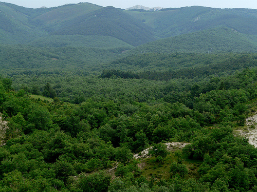 Las organizaciones ecologistas se oponen a la construcción de la presa de Korrosparri (Álava)