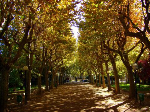 Aragón. El Ayuntamiento de Huesca instalará 42 nuevos paneles informativos en el Parque Miguel Servet