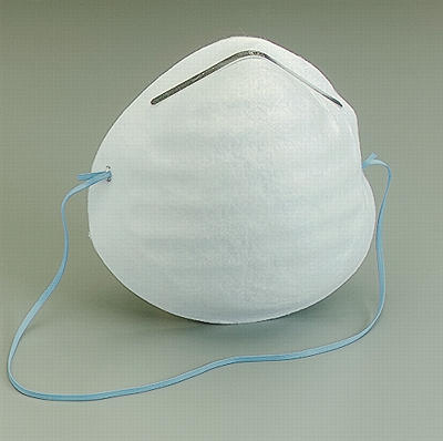 La contaminación y el poco esfuerzo inmunológico hará que "en no más de 30 años" la mitad de la población sea alérgica