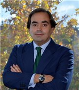 Combustibles alternativos