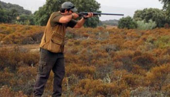 Ecologistas denuncia "abusos" de cazadores en espacios públicos como Cabañeros