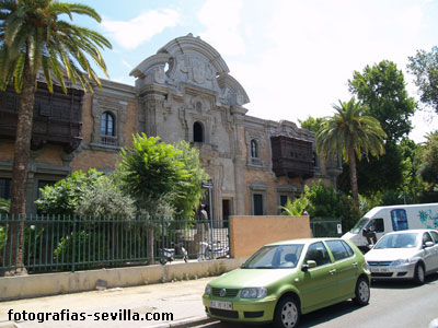 La Casa de la Ciencia de Sevilla expone desde este martes la muestra Biodiversidad en España