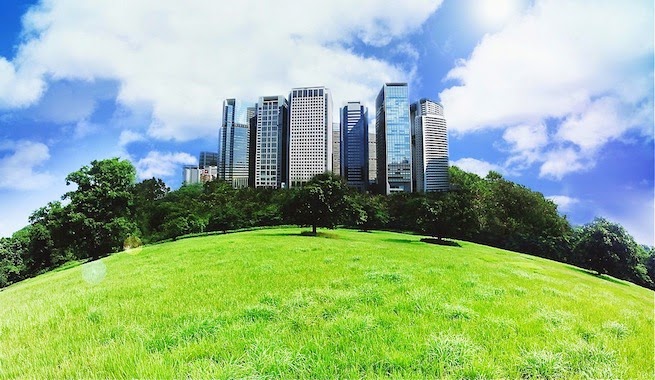 Día de la Madre Tierra 2014: ‘Ciudades verdes y sostenibles’