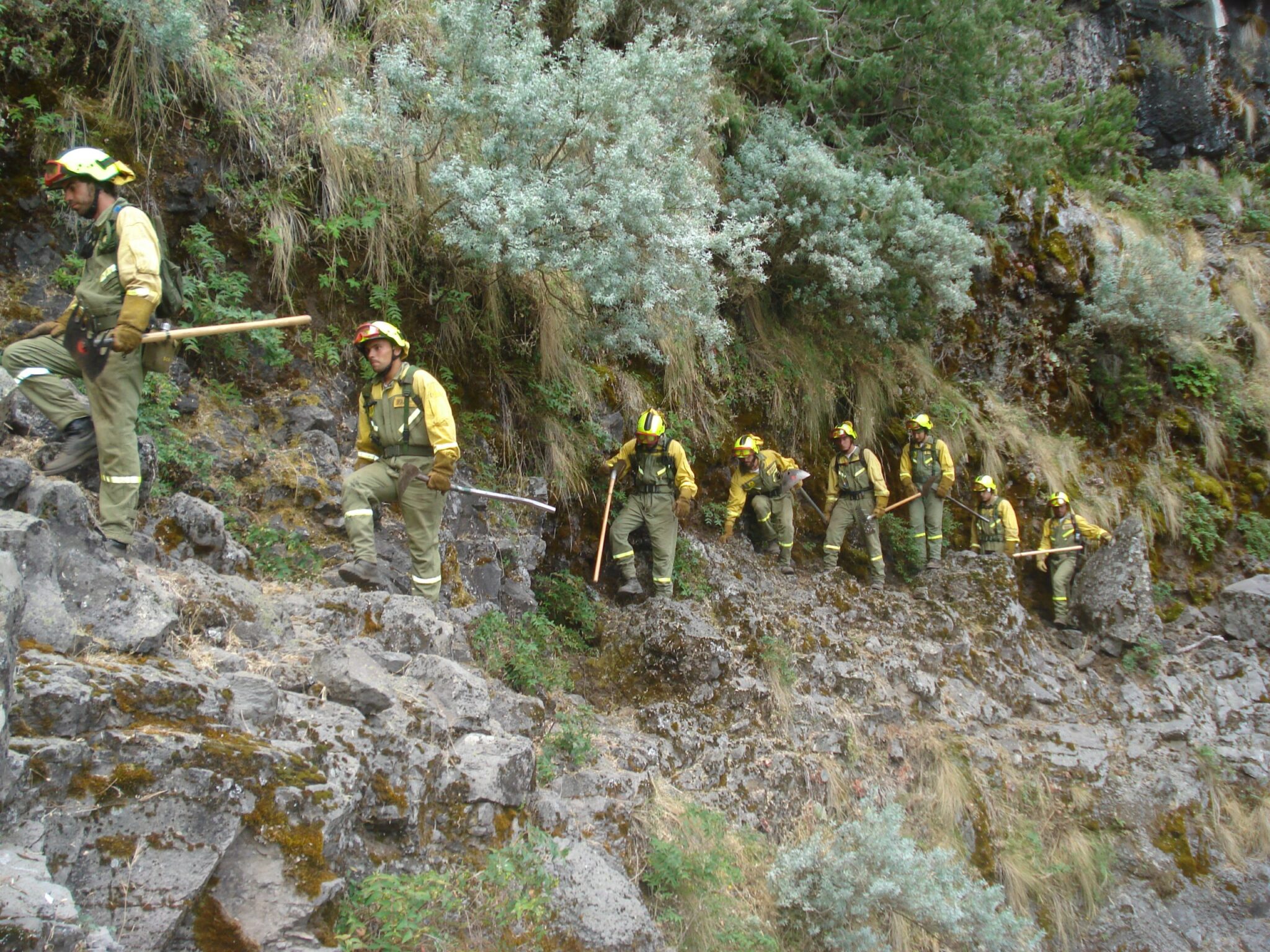 Restauración de los daños producidos por los incendios forestales declarados este verano en Guadalajara y Burgos
