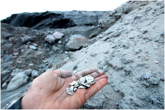 Deshielo descubre los fósiles más antiguos de la Tierra