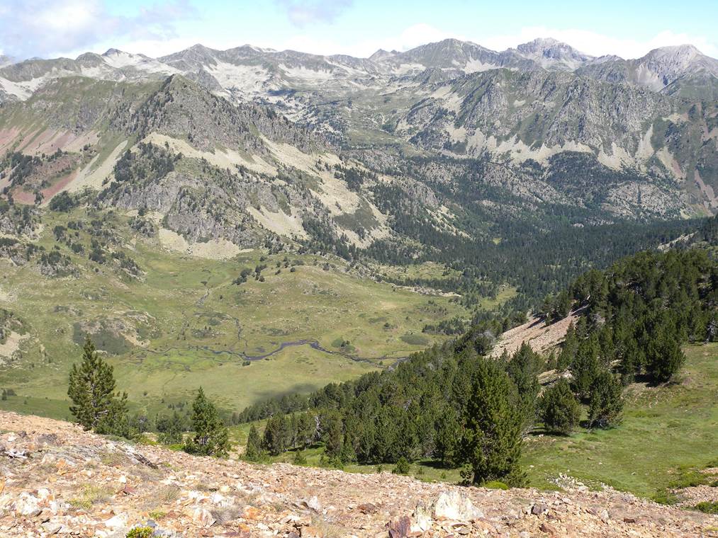 La teledetección de los pigmentos de las hojas permitirá mejorar los modelos de cambio climático