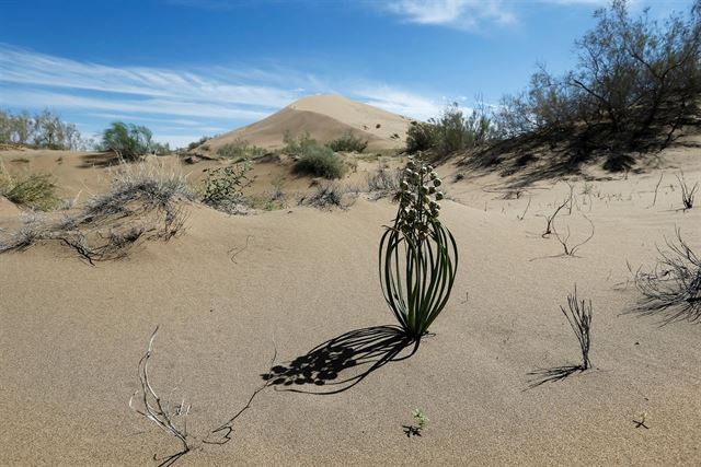 Ciencia y religión ‘alianza’ para la conservación del planeta