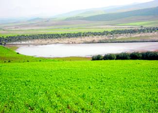 El estado de las lagunas de Baena (Córdoba)