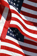 En busca de las mejores primas