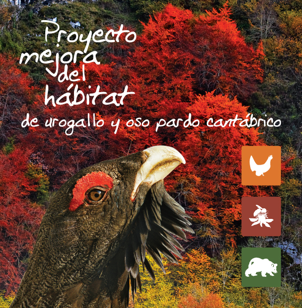 2 urogallos cantábricos visitan las aulas asturianas