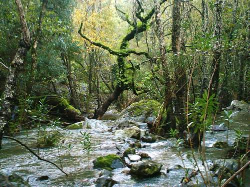 Turismo Sostenible en los Espacios Naturales de Andalucía