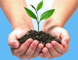 VI Congreso Nacional de Áreas Naturales Protegidas