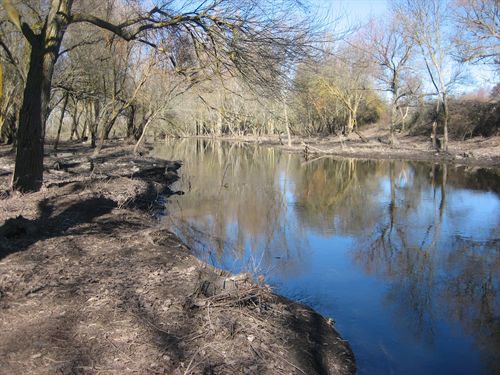 El número de voluntarios del Proyecto Ríos se ha incrementado un 98