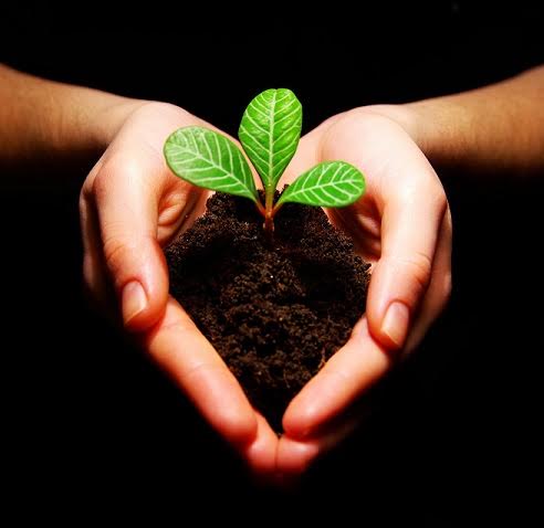 Andalucía oferta 575 plazas de formación ambiental para mejorar la cualificación profesional