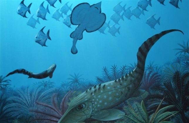Hace 359 millones de años una gran extinción marcó el dominio del mar por peces pequeños