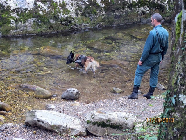 Conoce las CCAA que menos luchan contra el veneno