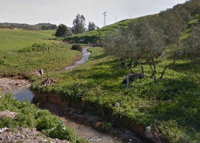 Condenado un ganadero a un año de cárcel por verter purines a un arroyo de Morón