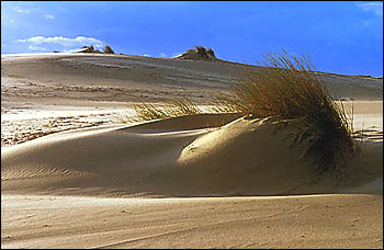 Junta de Andalucía: bla