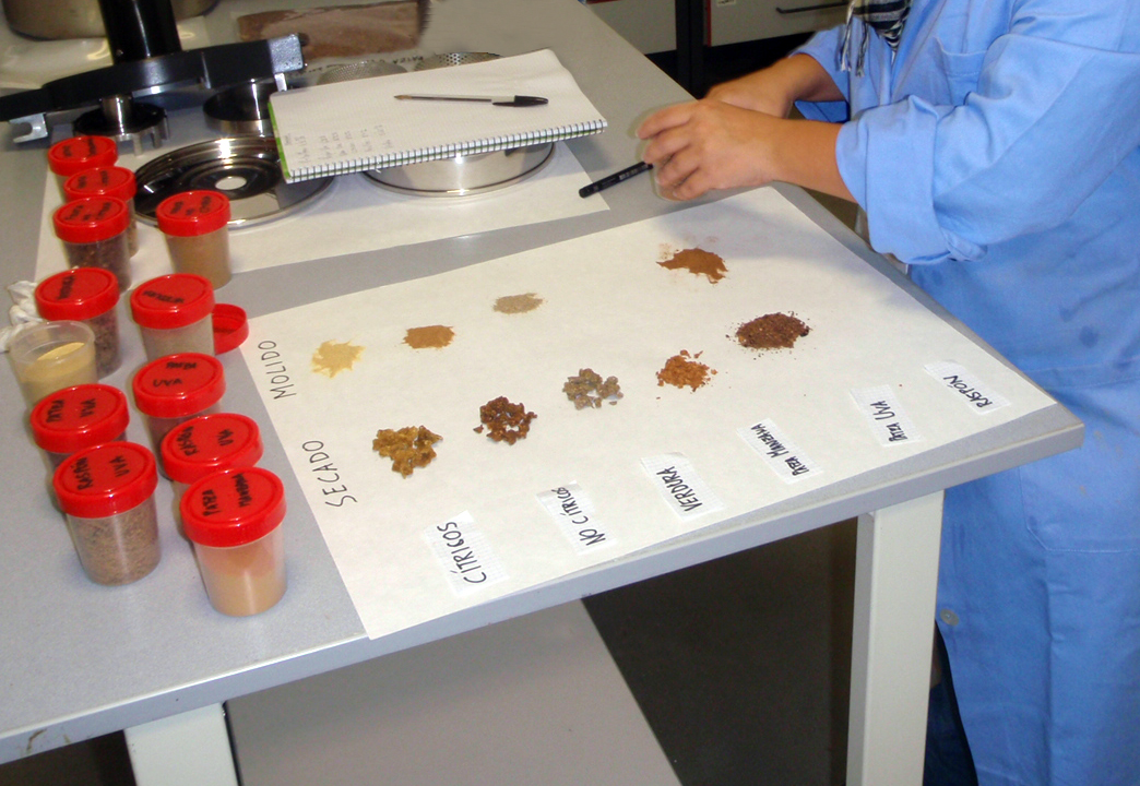 Euskadi. 25.000 toneladas de residuos vegetales pueden ser aprovechadas para alimentación animal