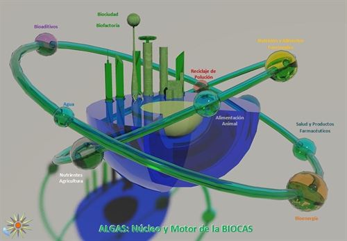 La grandes novedades que aportan la bioproducción de microalgas más sostenibles