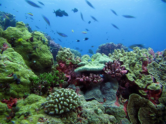 Máster + Ciencia + Tecnología marina = FUNIBER