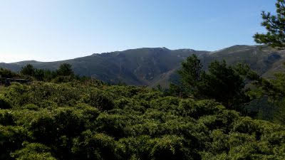 La Rioja subvencionará la reforestación y creación de superficies forestales