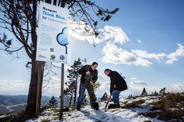 Navarra planta 5.000 árboles en un bosque en Añorbe
