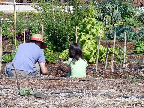 La agroecología: una vía alternativa con futuro