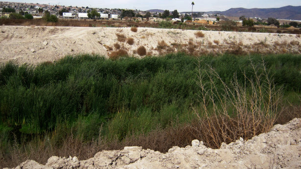 Urgente conciencia ciudadana para combatir el cambio climático