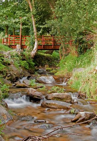 Formulan una denuncia administrativa por un vertido de residuos peligrosos al arroyo Hondillo