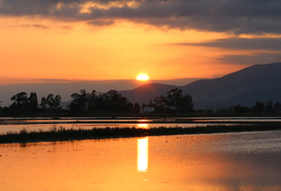 El Delta del Ebro se hunde…