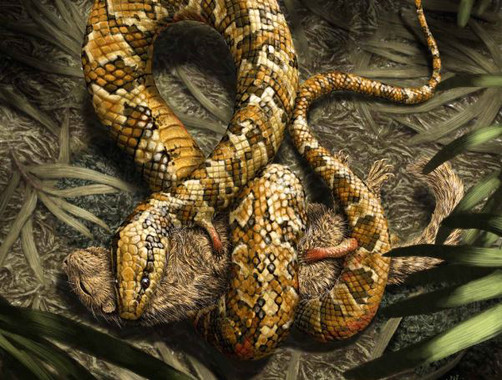 La serpiente ‘original’ tenía cuatro patas y vivía en madrigueras