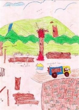 Los niños de zonas deforestadas creen que los bosques y animales "desaparecerán del planeta" por la actividad humana