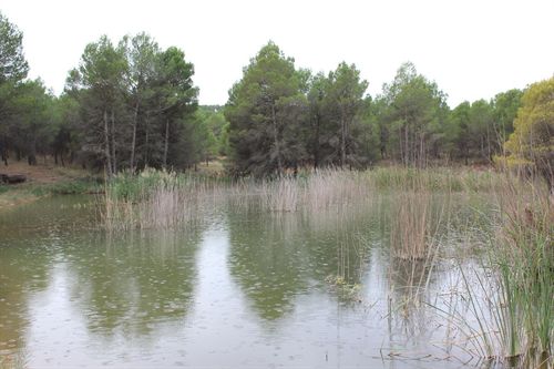 El proyecto LiFE+CREMAgua recibe un accésit en la sexta edición del Premio CONAMA