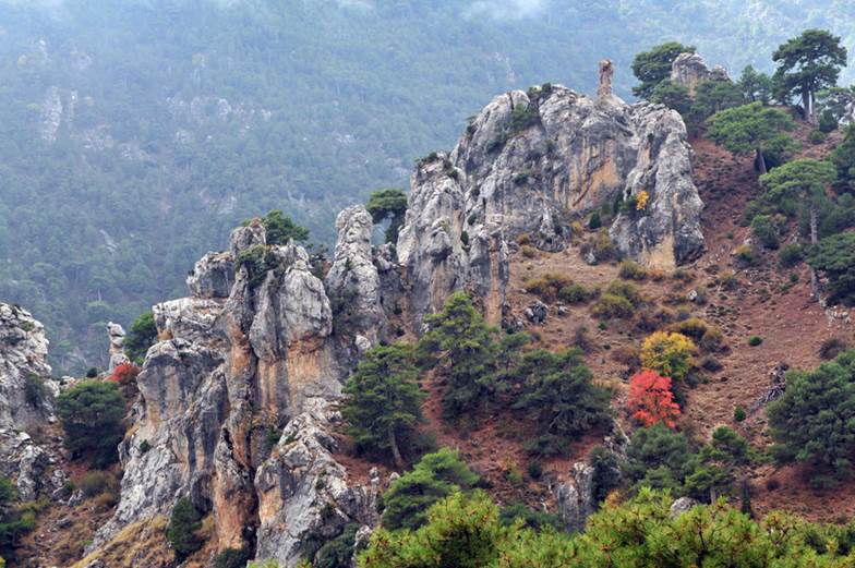 Actuaciones en el ‘Parque Natural de Sierra Mágina’ (Jaén)