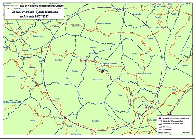 La Comunitat Valenciana detecta un segundo foco de Xylella fastidiosa en la Marina Baixa