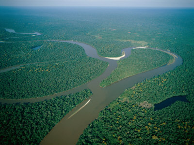 Proyecto para fortalecer la biodiversidad del Amazonas y a las personas