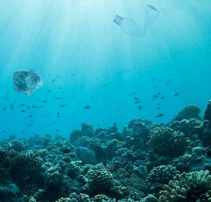 Trazas de vida de hace 125 millones de años bajo el fondo marino