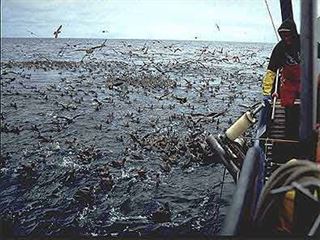 Los recursos del planeta se ‘agotan’