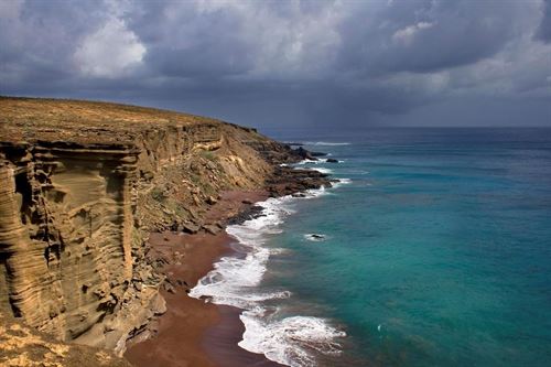 En Canarias exigen el fin del ‘expolio’ de la fauna protegida del Archipiélago Chinijo
