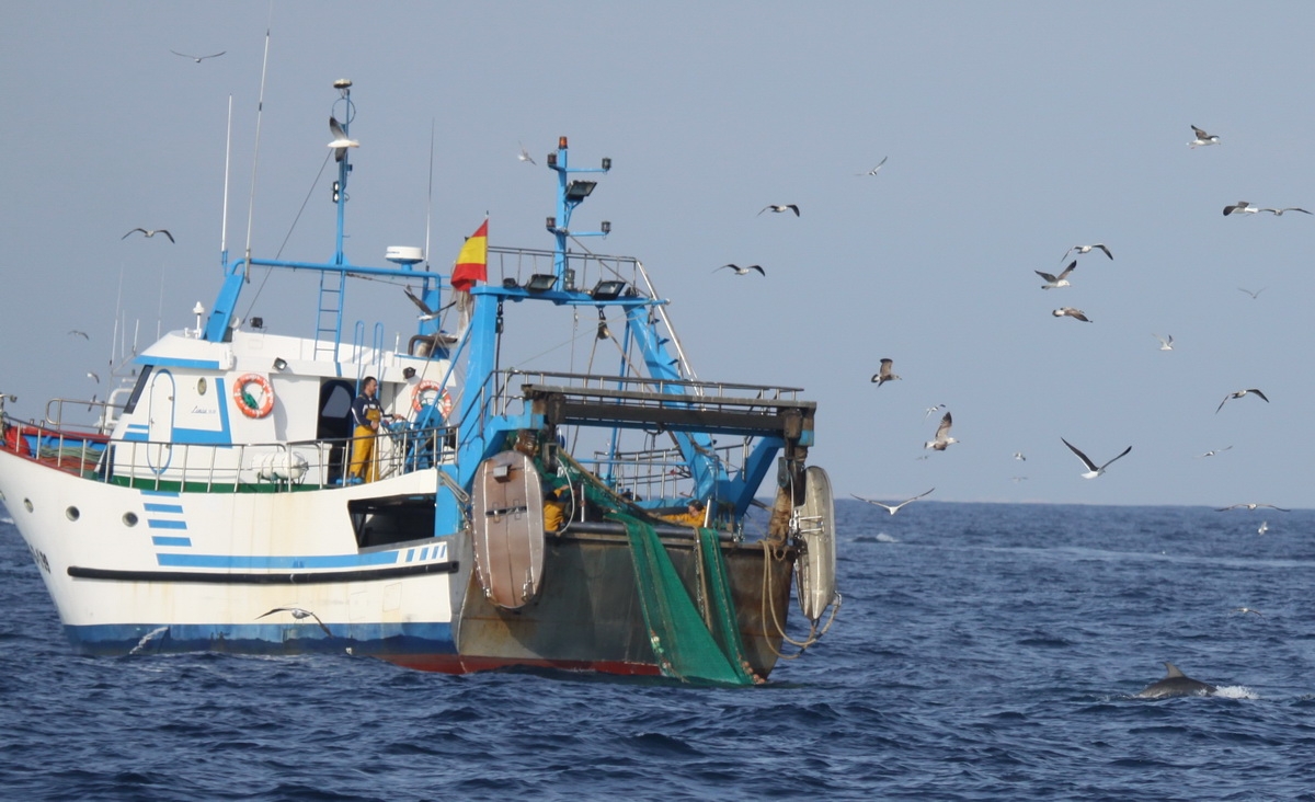 IV Campaña de estudio de cetáceos y aves marinas en el Golfo de Cádiz