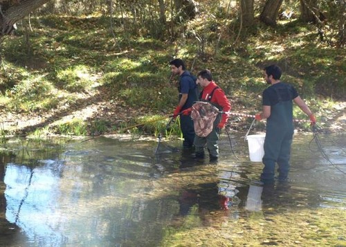 Los pesticidas ‘esquilman’ la biodiversidad del río Júcar
